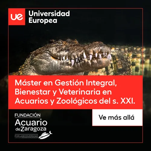 02444_dig_uem_social_ug_vet_gestion_acuarios_y_zoologicos_1080x1080_v4.jpg