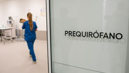 Espacio para procedimientos con anestesia general del Hospital Cl&iacute;nico Veterinario de la Universidad Europea de Madrid