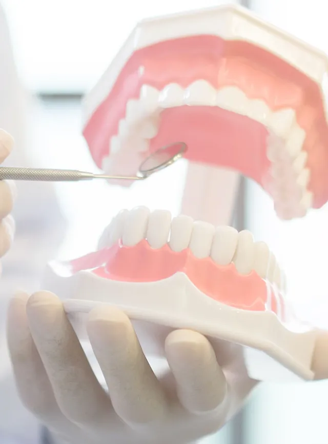 Grado Superior en Higiene Bucodental