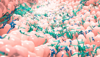 M&aacute;ster de Formaci&oacute;n Permanente en Microbiota y Probi&oacute;ticos online de la Universidad Europea