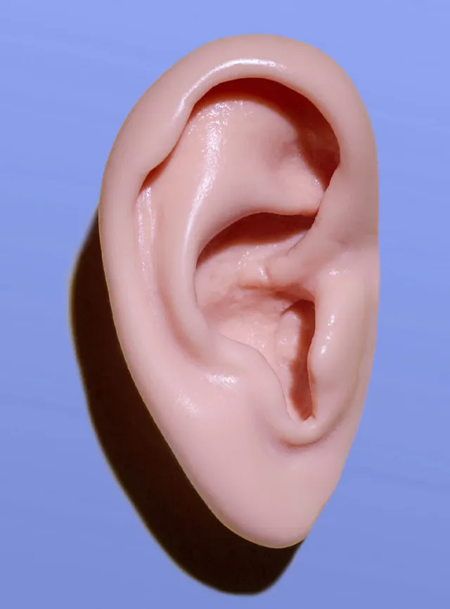 Técnico superior en Audiología Protésica