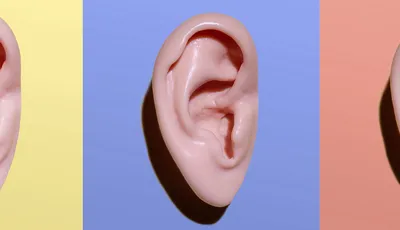 Técnico superior en Audiología Protésica