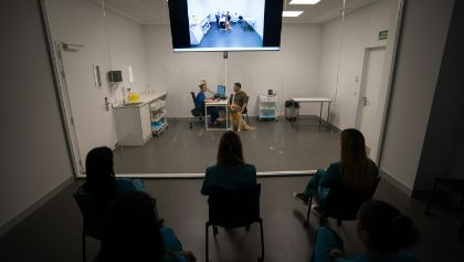 Zona de consultas del Hospital Cl&iacute;nico Veterinario de la Universidad Europea de Madrid
