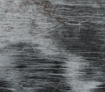 En la mente de: La Mujer Araña