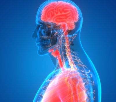 260326-Jornadas neurorespiracion AGENDA-800x450