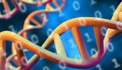 master bioinform&aacute;tica online