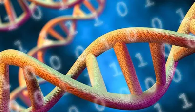 master bioinformática online