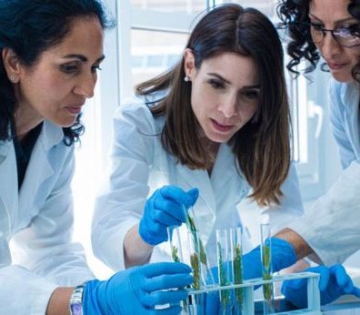 CABECERA II JORNADA MUJER Y NIÑA EN LA CIENCIA UE 2025.jpg