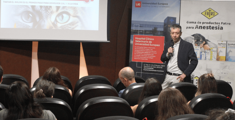 Congreso (5).png
