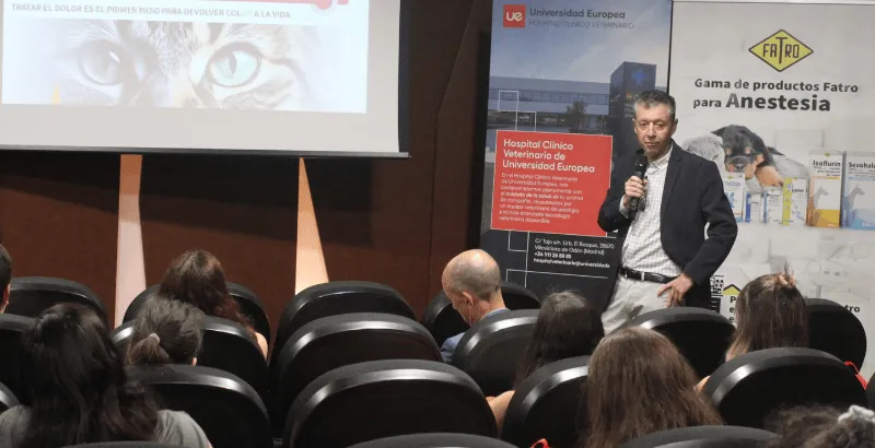 Congreso (5).png
