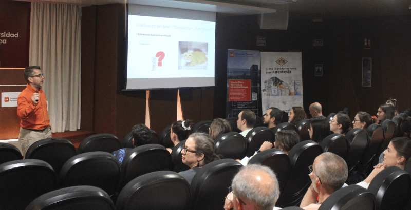 Congreso (7).png
