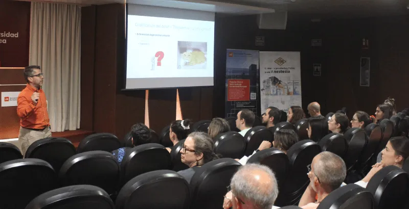Congreso (7).png