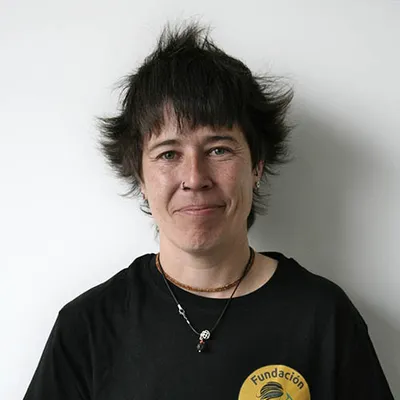 Diana Peña Gil - Profesor