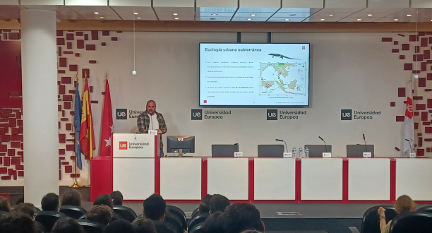 Dise&ntilde;o sin t&iacute;tulo (51).png