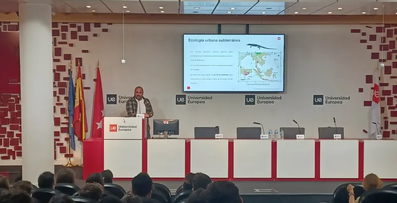 Diseño sin título (52).png