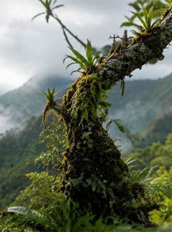 Ecosistemas y Biodiversidad