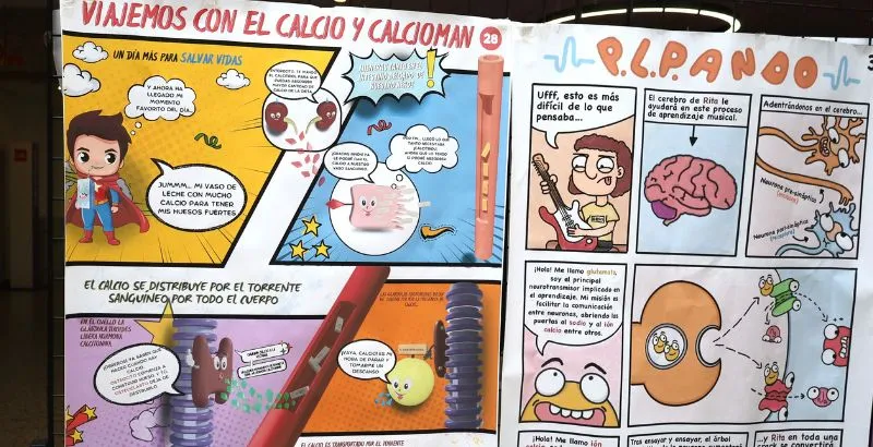 FISIOCOMICS CABECERA_ GENERAL 3