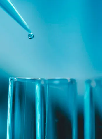 Grado en Biomedicina Universidad Europea de Andalucía
