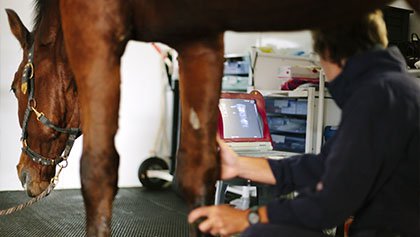 Hospital Clínico Veterinario