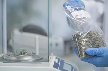 Laboratorio de tecnología de los alimentos