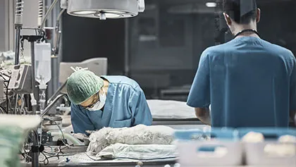 Hospital Veterinario Simulado