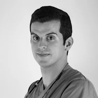 Juan Antonio Blaya - Profesor