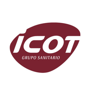 Logo icot