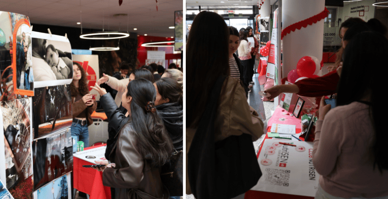 Love Day Portada (2)