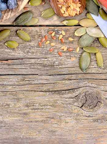 M&aacute;ster en Nutrici&oacute;n en la Actividad F&iacute;sica y el Deporte