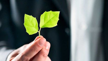 máster en derecho ambiental