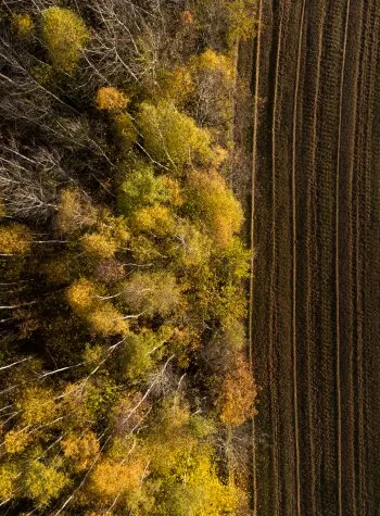 Máster de Formación Permanente en Gestión de Riesgos Naturales y Cambio Climático