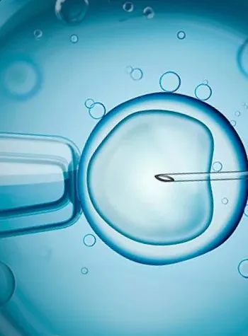 Máster de Formación Permanente en Biotecnología Aplicada a las Técnicas de Reproducción Humana Asistida, Genética e Investigación de la Universidad Europea