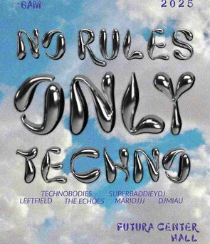 NO-RULES-ONLY-TECHNO-poster-1.jpg