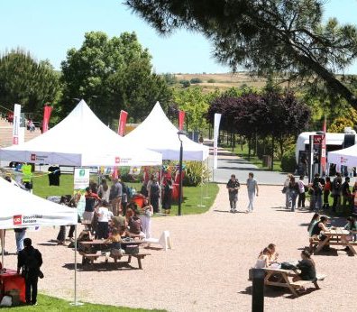 PRIMAVERA SOLIDARIA_MINI.jpg