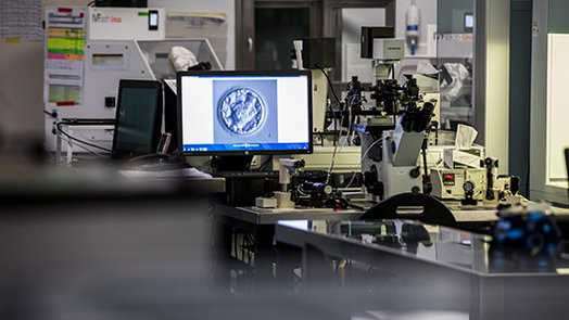 Prácticas profesionales Máster Reproducción Asistida
