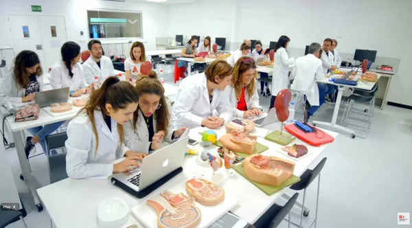 Private Master's Degree in Sports Nutrition Online - preview
