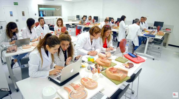 Private Master's Degree in Sports Nutrition Online - preview