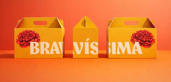 Proyecto Creative Campus - Bravisimas 4