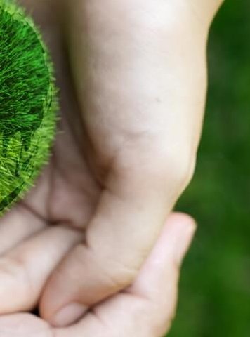 medioambiente