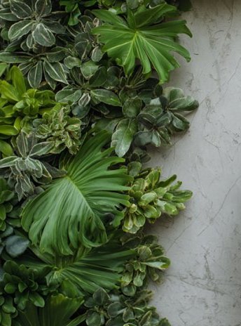 Máster de Formación Permanente en Sostenibilidad, Economía Circular y ESG - Valencia