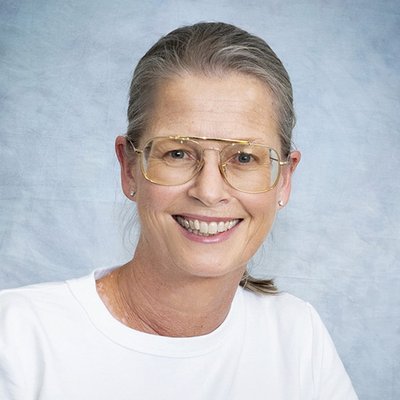 Tone Wollmann - Profesor