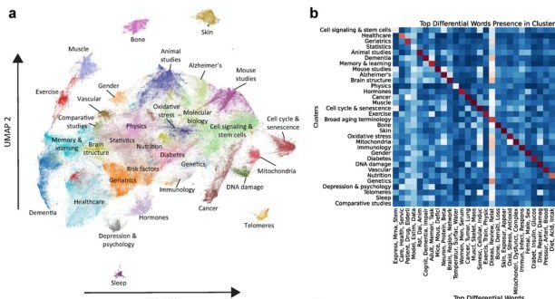 VALENCIA CABACERA_MINI