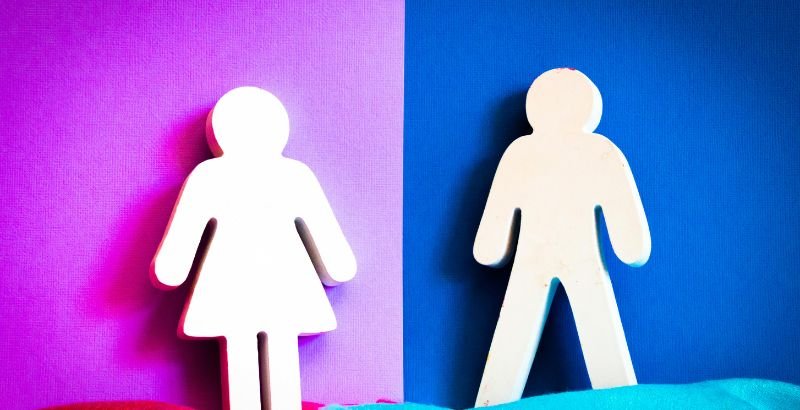 VIOGEN CABACERA_ GENERAL