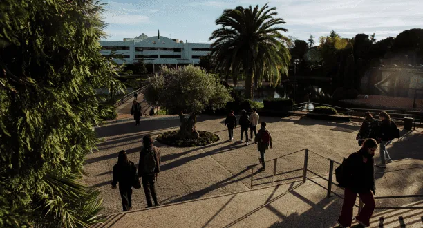 V Marcha saludable en Atención Primaria (34).png