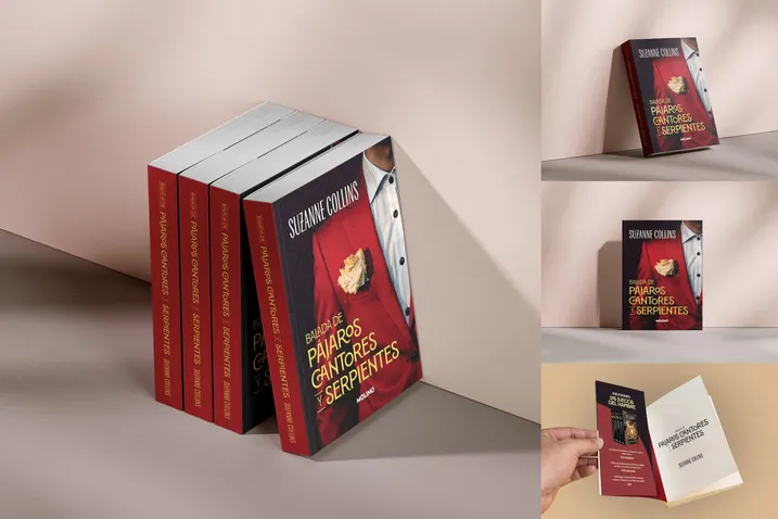 Valeria_Navas-1800x1200