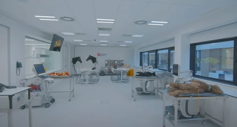 Veterinario.png