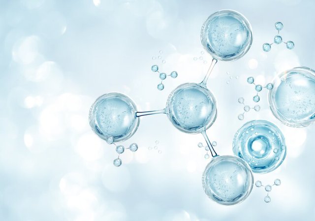 What is molecular biology