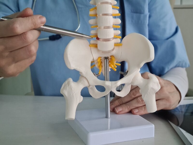 What is physiotherapy for musculoskeletal pain
