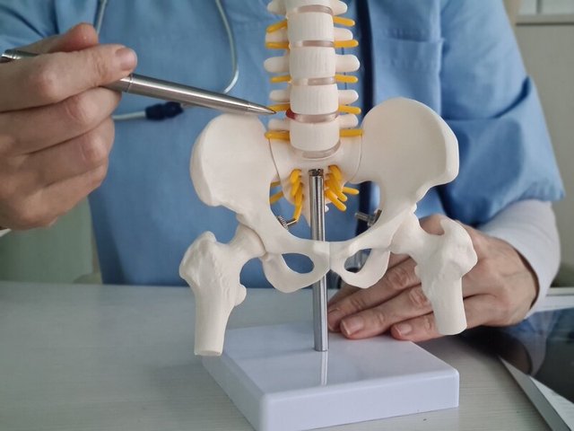 What is physiotherapy for musculoskeletal pain