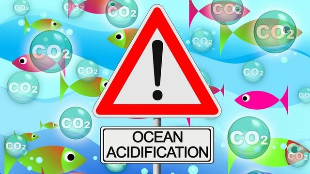 acidificación de los océanos